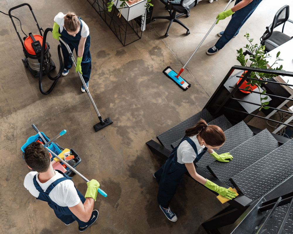 Cleaning Netherlands Transport Insurance