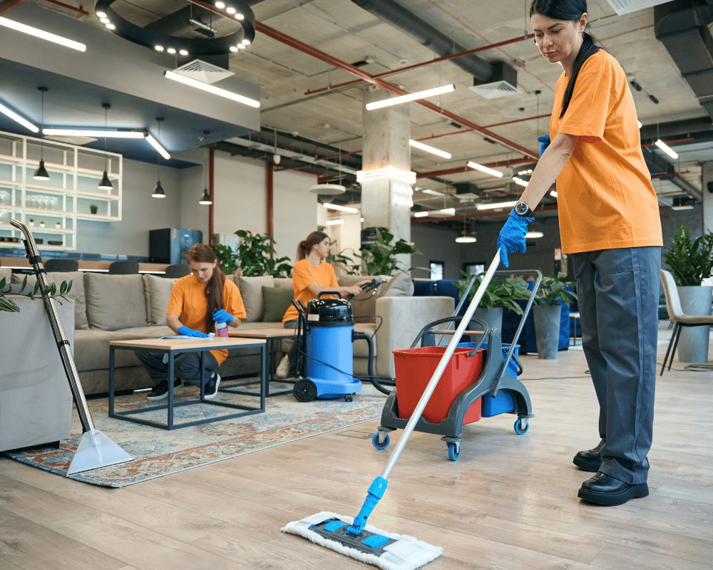 Cleaning Netherlands